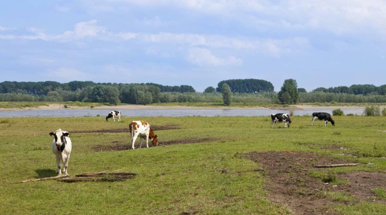 Hotel Hoeve De Pippert Ophemert Exteriér fotografie