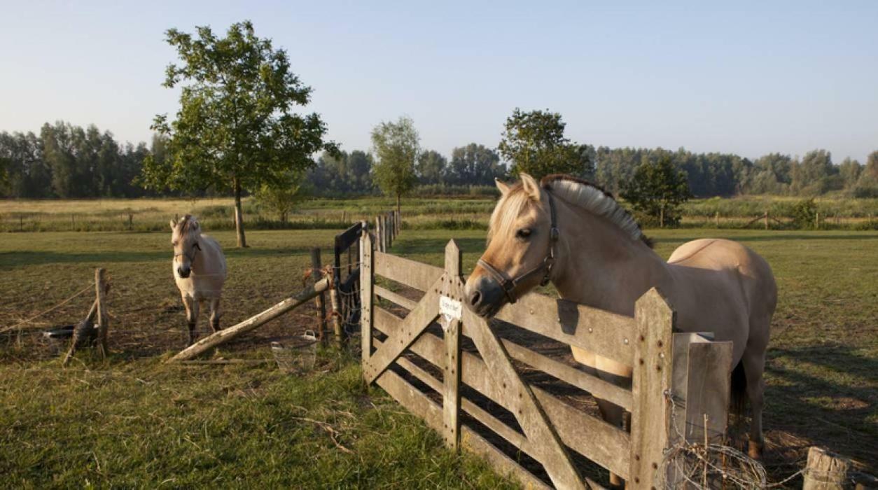 Hotel Hoeve De Pippert Ophemert Exteriér fotografie